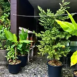 아파트 Alojamentos - 