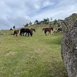 Alojamentos - 