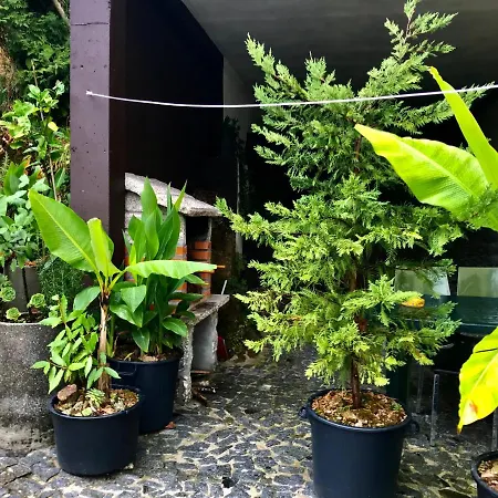 Apartmán Alojamentos - 