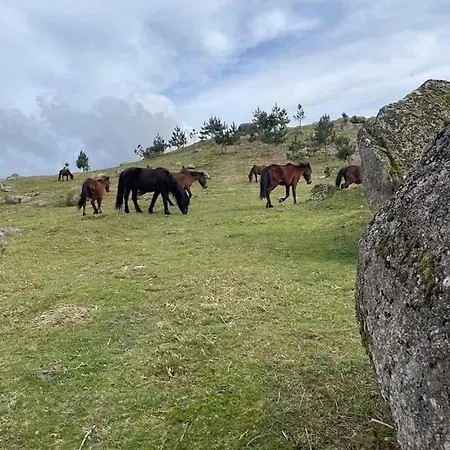 Casa De Casarelhos - Alojamentos - Gerês