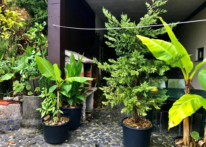 Appartement Casa De Casarelhos - Alojamentos - Gerês