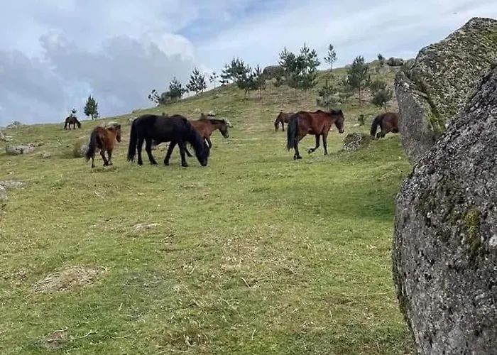 Casa De Casarelhos - Alojamentos - Gerês